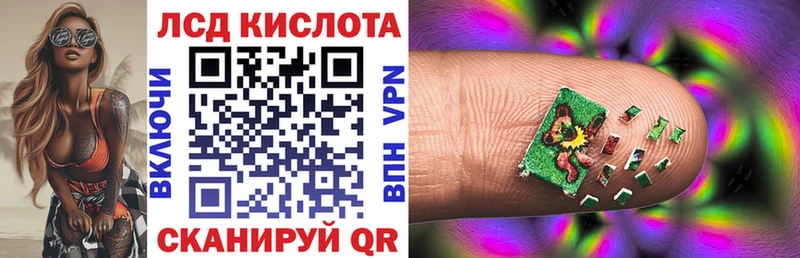 где продают   Кандалакша  Марки N-bome 1,5мг 